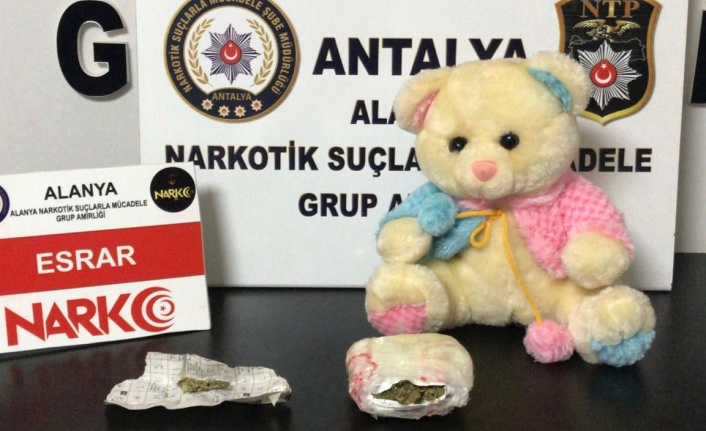 Alanya'da ayıdan uyuşturucu çıktı