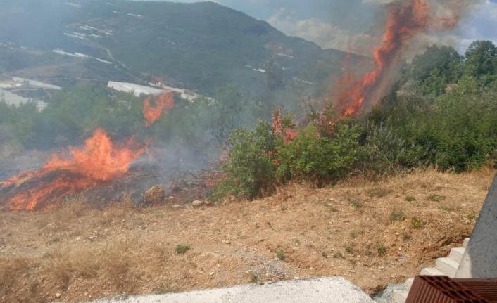 Alanya'da tarım arazisinde başlayan yangında 10 dönüm zarar gördü