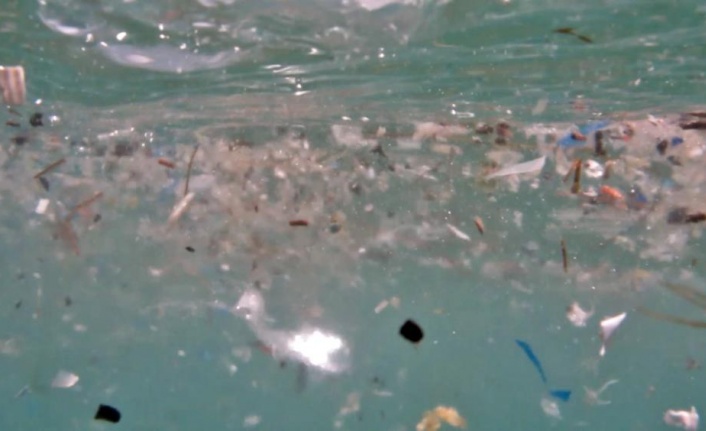 Deniz canlılarının en büyük düşmanı 'Mikroplastikler'