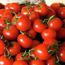 Domates çiftçinin yüzünü güldürdü