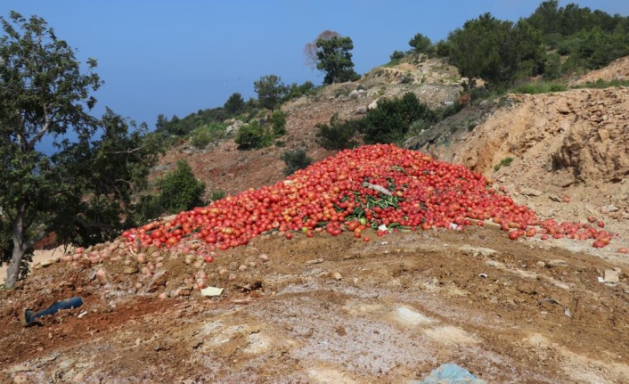 Gazipaşa'da çöpe dökülen sebze açıklaması: "İnsan sağlığını tehdit eden ürünler"