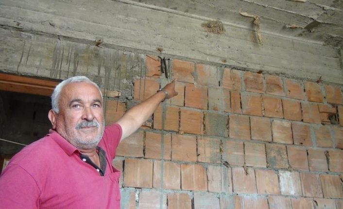 İnşaattaki kuş yuvasından beyaz kırlangıç çıktı, görenler şaştı kaldı