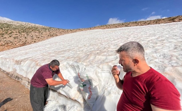 Toroslardan çuval çuval taşınan kar, deniz seviyesinde karlama şerbet oluyor