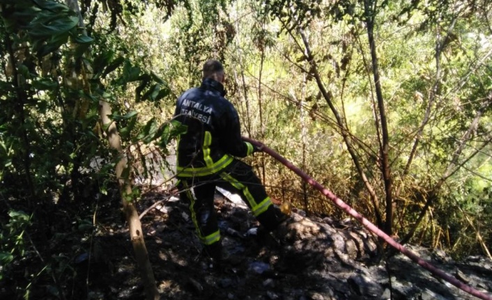 Alanya'da 1.5 dönüm ormanlık alan kül oldu