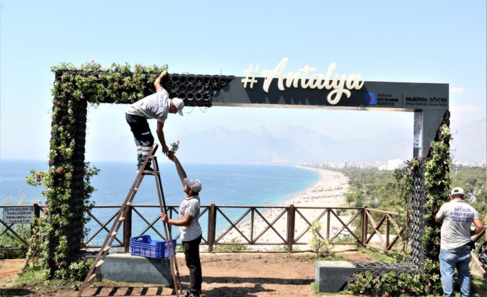 Aşırı sıcaklar karşısında kuruyan çiçekli fotoğraf çerçevesi, yeniden yeşillendi