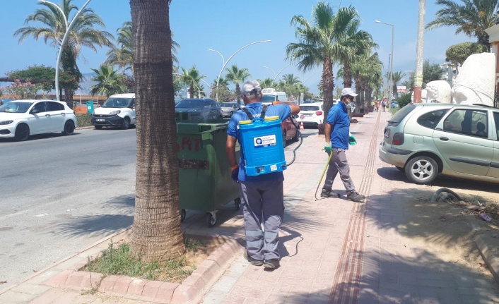 Büyükşehir sinek ve haşereyle mücadelesini sürdürüyor