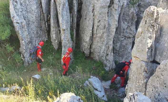 Dört gündür kayıp olan yaşlı kadın 160 kişilik ekiple aranıyor