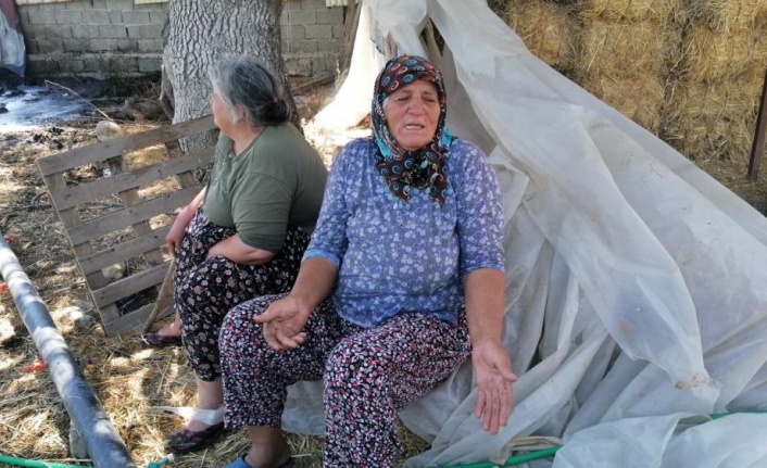 Manavgat yangının yıldönümünde yine yangınla mücadele etti