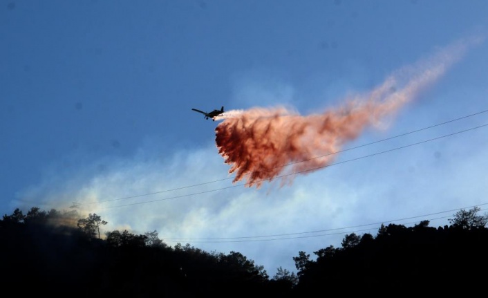 Orman yangını kontrol altına alındı