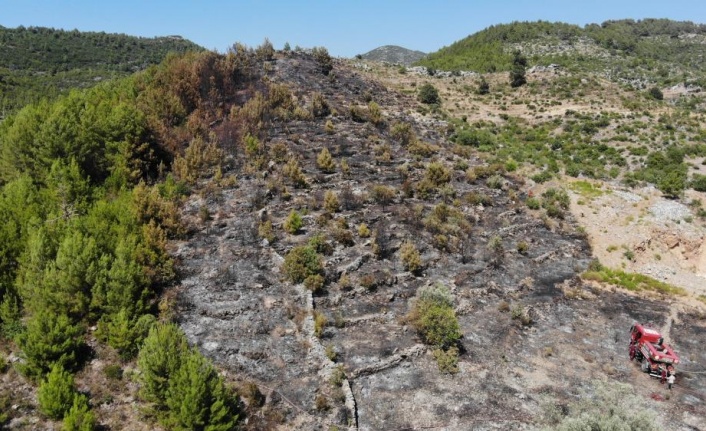 Tarladan makilik alana sıçrayan yangın ormana ulaşmadan söndürüldü