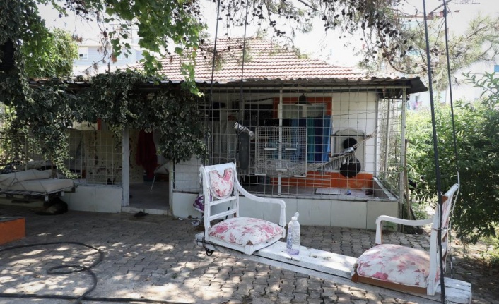 Yalnız yaşayan adam evinde ölü bulundu