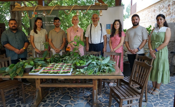 Akademisyenler avokadonun kitabını yazdı