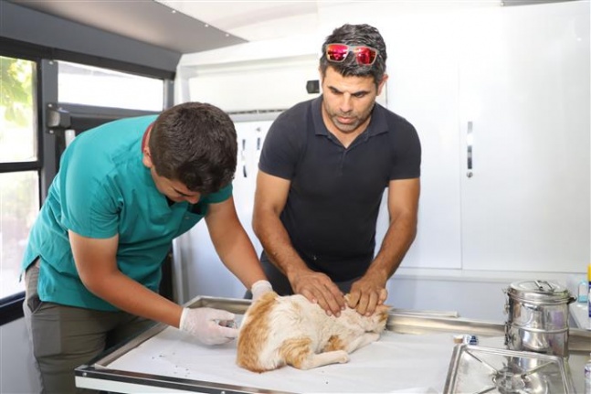 Alanya Belediyesi kırsaldaki hayvanların bakımlarını eksiksiz yapıyor