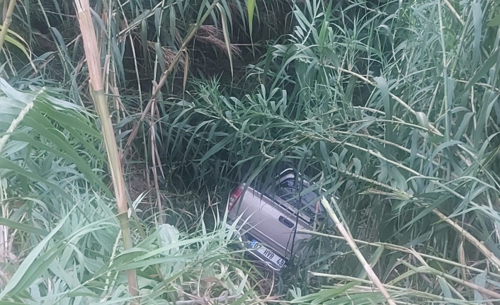 Alanya’da kontrolden çıkan kamyonet sazlığa uçtu