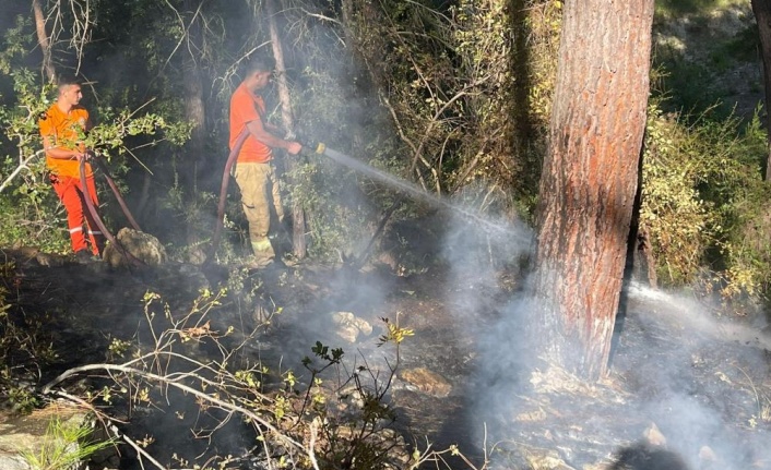 Alanya’daki orman yangını hızlı müdahaleyle büyümeden söndürüldü