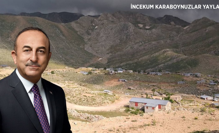 Bakan Çavuşoğlu talimatı verdi: Alanya'daki o yayla elektriğe kavuşuyor