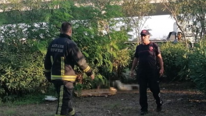 Otluk alanda ceset bulundu