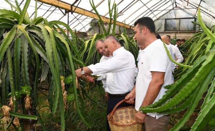 Vali Yazıcı: "En çok tarım ve hayvancılıkla uğraşanların kazanmasını isterim"