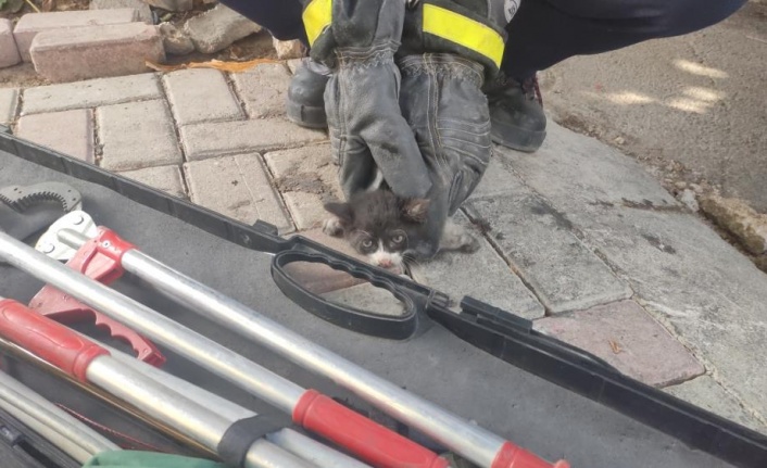 Alanya'da kurtarıldıktan sonra ikinci kez motor kısmına giren kediyi itfaiye eri kurtardı