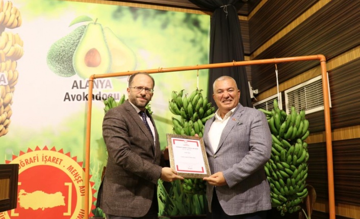 Alanya muzunun logosunu halk seçecek