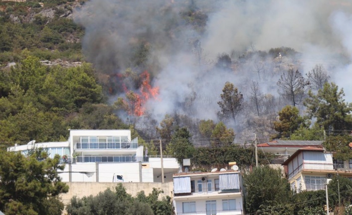 Alanya’da yerleşim yerine yakın alanda çıkan orman yangını kontrol altına alındı