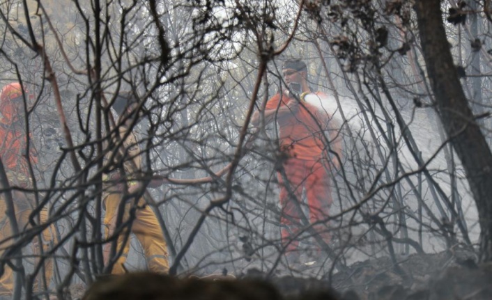 Alanya’daki orman yangını kontrol altına alındı