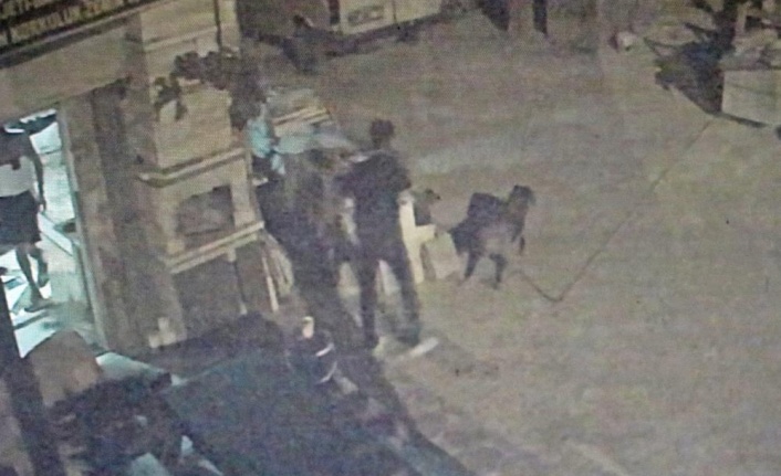 Antalya'da akıl almaz olay, tartıştığı arkadaşına sinirlenip aynı ismi taşıyan köpeği vurdu