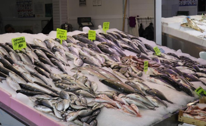 Antalya'da av sezonun açılmasıyla balıklar tezgahlardaki yerini aldı