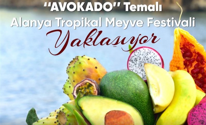 Avokado temalı Tropikal Meyve Festivali yaklaşıyor