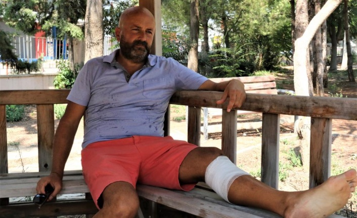 Çalınan köpeğini kurtarmak isterken bıçaklanıp ölümden döndü