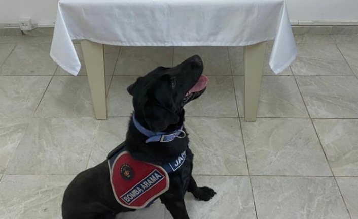 Gazipaşa'da jandarmanın durdurduğu araçtan, tabanca, bıçak ve uyuşturucu çıktı