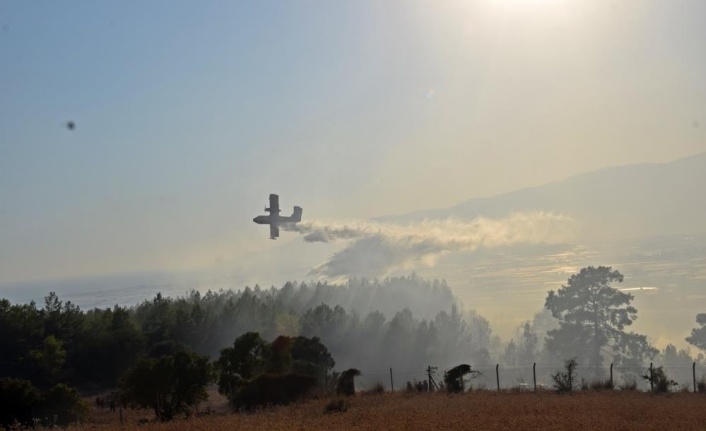 Kumluca'daki orman yangını kontrol altına alındı, 3 ev ve plastik seralar zarar gördü