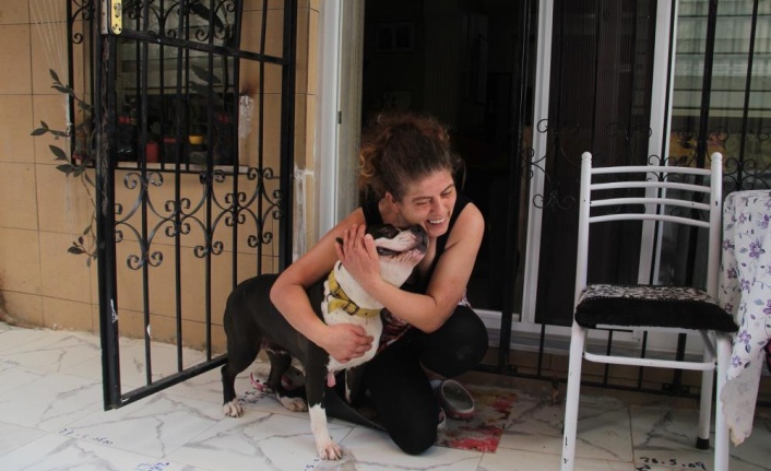 Uyutulmak istenen köpeğe kıyamadı, komşusuyla karakolluk oldu