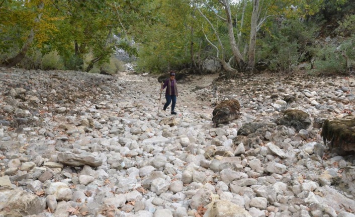 Antalya’da Üzümdere Irmağı kurudu, yavru alabalıklar telef oldu