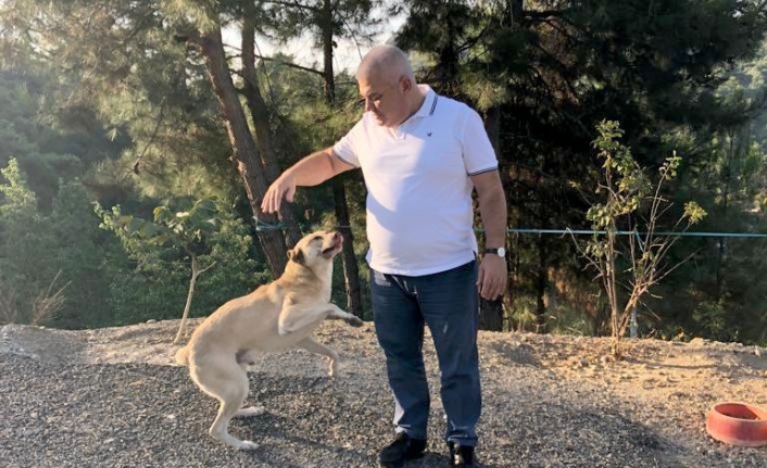 Başkan Şahin sokak hayvanları ile ilgili projesini açıkladı