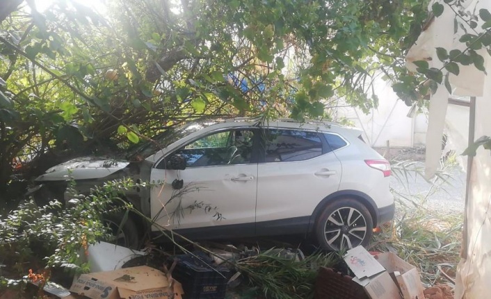 Gazipaşa'da ağaca çarpan otomobilin sürücüsü yaralandı