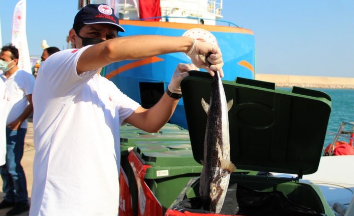 Antalya’da balıkçılara istilacı balon balığı bereketi