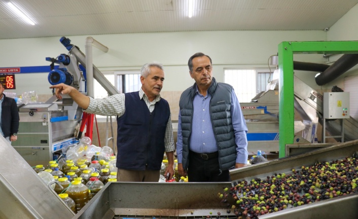 Başkan Yılmaz zeytinyağı fabrikalarını ziyaret etti