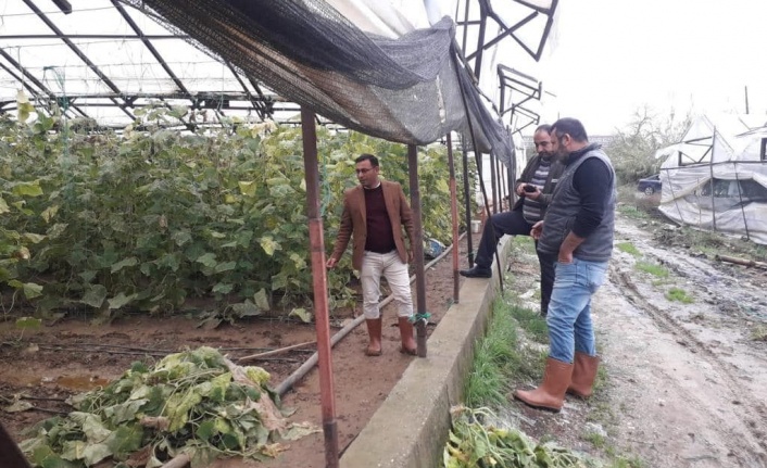 Başkan Göktepe yağışta zarar gören seraları inceledi