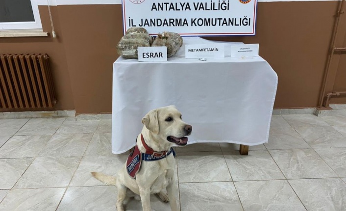 Uyuşturucu taciri, hassas burun Elyaf’a takıldı