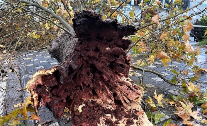 Antalya’da şiddetli yağmur yolları göle çevirdi