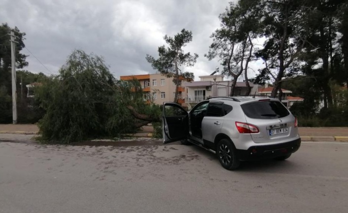 Kontrolden çıkan araç kaldırımdaki ağacı yerinden söktü: 1 yaralı