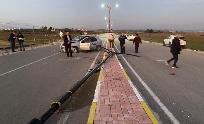 Köpeğe çarpmamak için aydınlatma direğine çarptı