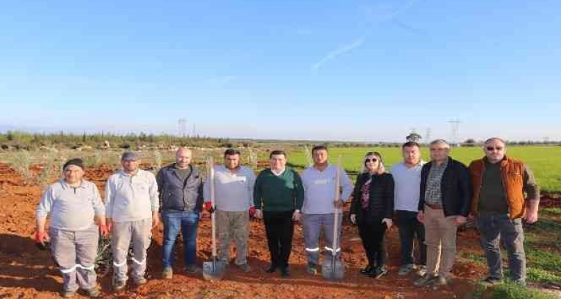 Zeytin Çiftliğinden elde edilecek gelirin tamamı 35 bin öğrenciye burs olacak