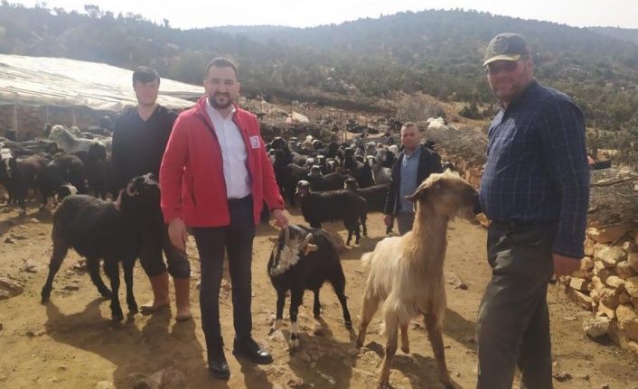Antalya'da çobanlardan Kızılay'a 10 küçükbaş hayvan bağışı