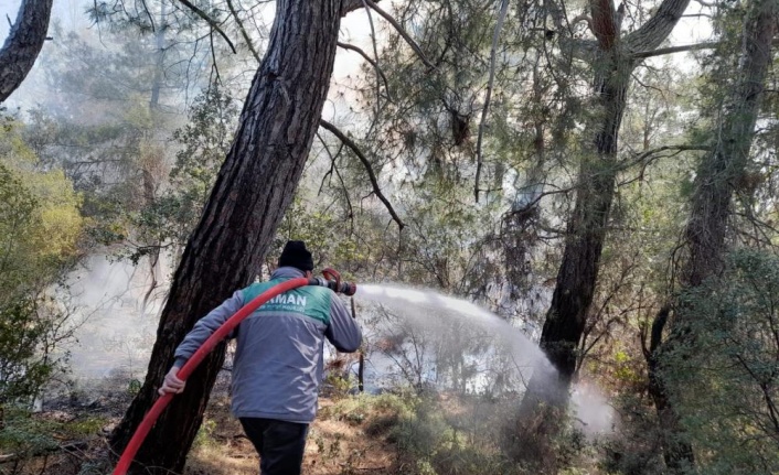 Antalya'daki orman yangını 2 saatte kontrol altına alındı