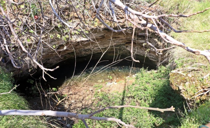 Antalya'nın göbeğinde 35 metre derinlikteki obrukta çok sayıda tatlı su canlısı tespit edildi
