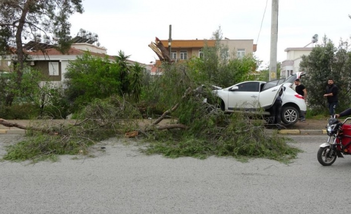 Manavgat'ta kontrolden çıkan otomobil ağaca çarptı: 1 yaralı