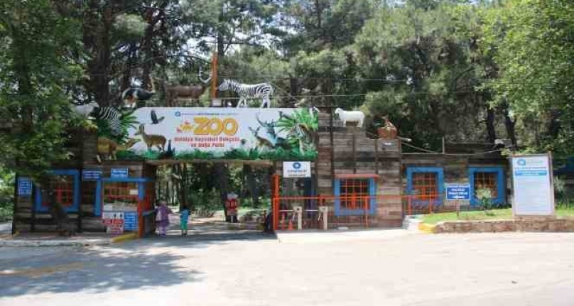 Antalya, ‘Hayvanat Bahçeleri' toplantısına ev sahipliği yapacak
