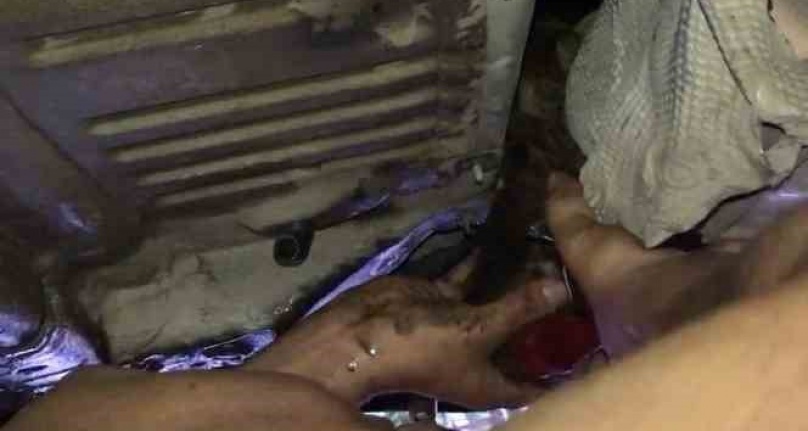 Otomobile giren yavru kediyi turizm çalışanları kurtardı